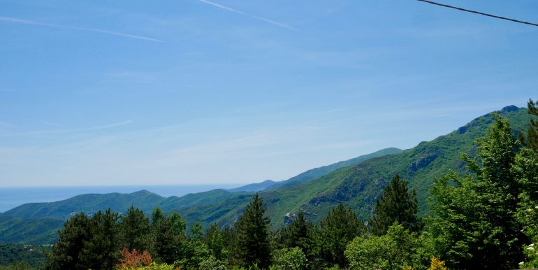 P1000398