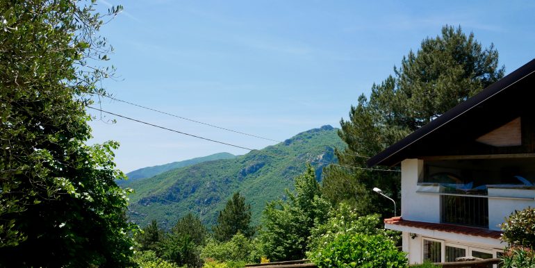 P1000409