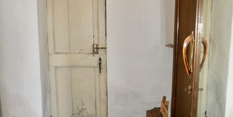 P1010257