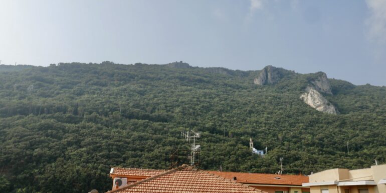 P1010695