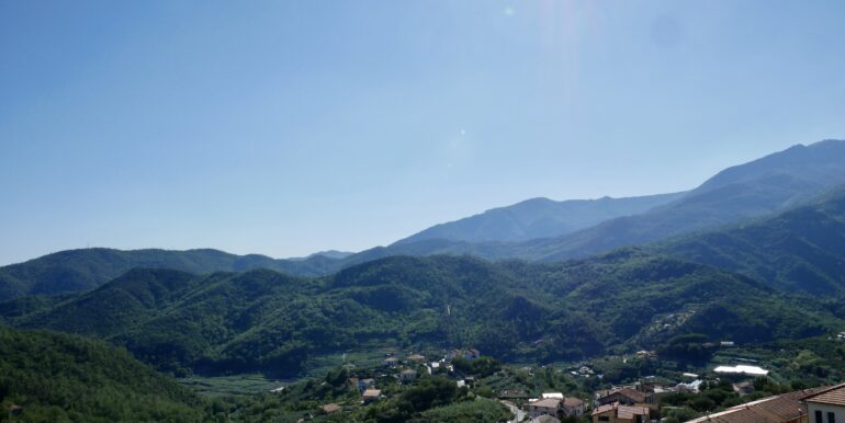 P1020560